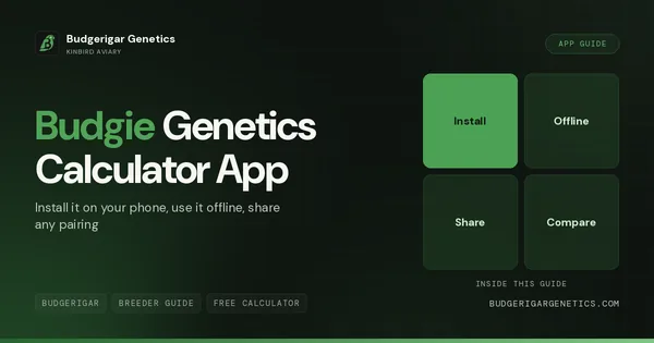 Budgerigar Genetics Calculator App, PWA vs Web Tool